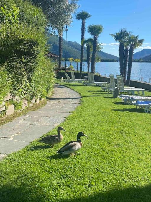 Holiday On The Lake Lugano 2-16 Биссоне Экстерьер фото